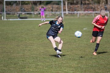 Bild 162 - wBJ VfL Pinneberg - Waldd�rfer SV : Ergebnis: 5:0